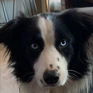 Meet your Posher, Trish